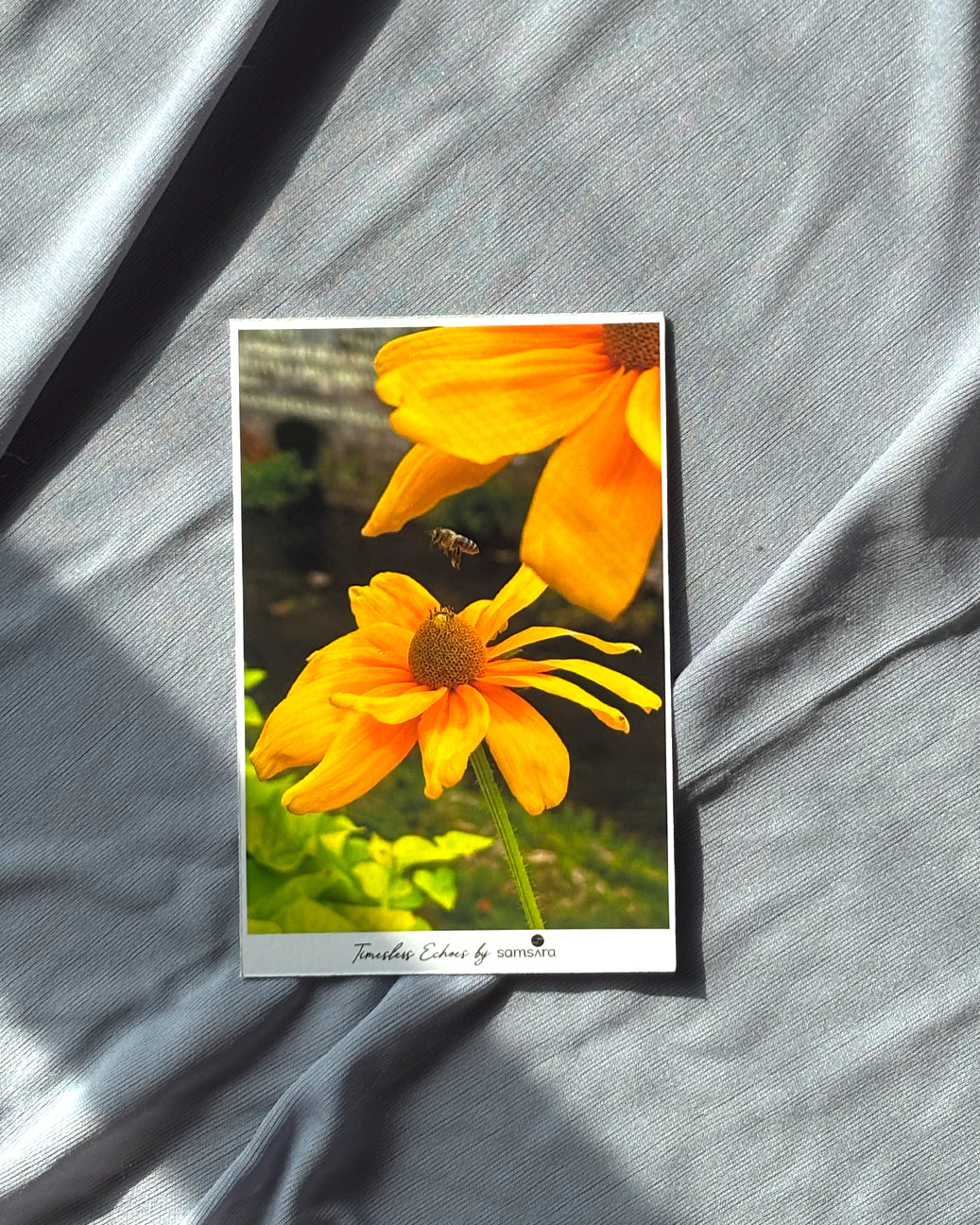Postcard with two yellow flowers and a bee on a gray fabric background