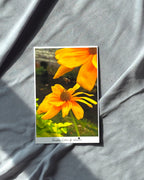 Postcard with two yellow flowers and a bee on a gray fabric background