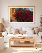 Desert Bloom · Limited Edition Fine Photography