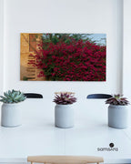 Botanical photography wall art - pink flower architecture print by Samsara