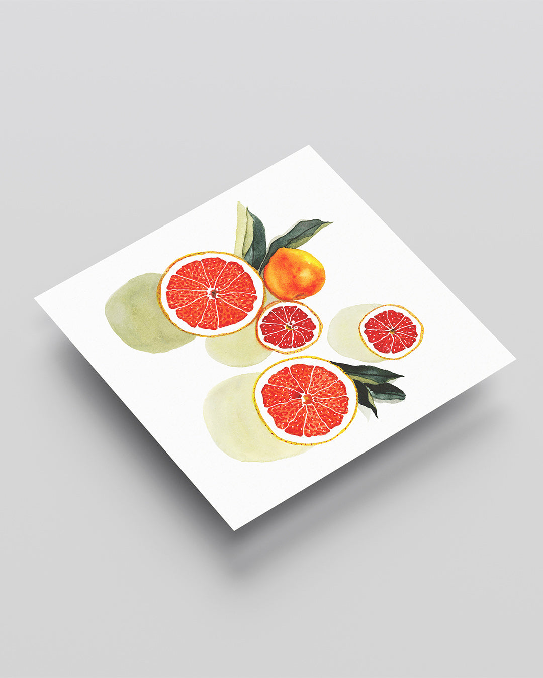 Citrus fruit watercolor art print with red orange segments - kitchen wall art by Samsara Mumbai