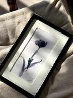 Original framed poppy painting for minimalist decor - monochromatic botanical wall art by Samsara (SOLD OUT)