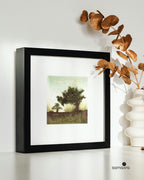 Terre Verte · Limited Edition Art Print