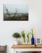 Minimalist forest landscape print - black white nature wall art by Samsara