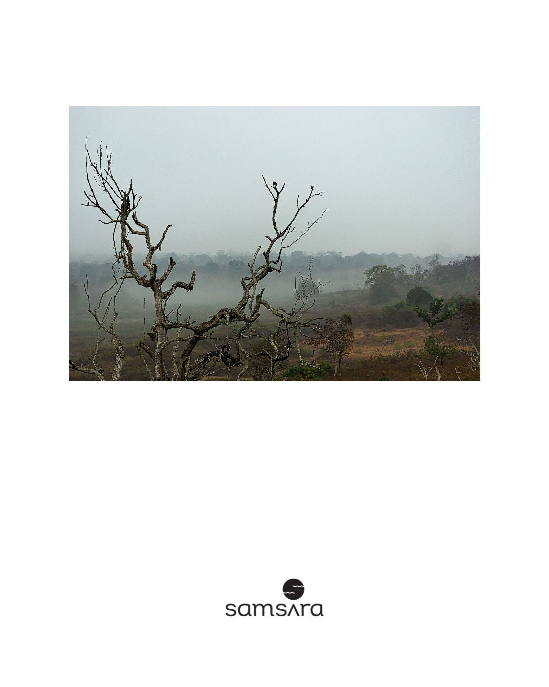 Minimalist forest landscape print - black white nature wall art by Samsara