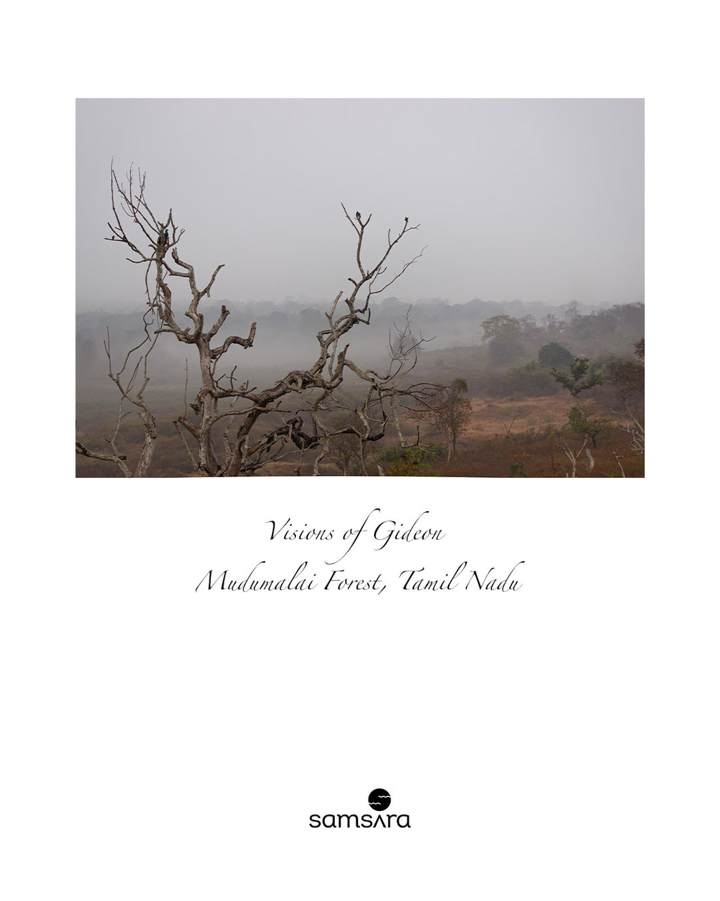 Visions of Gideon · Limited Edition Fine Photography