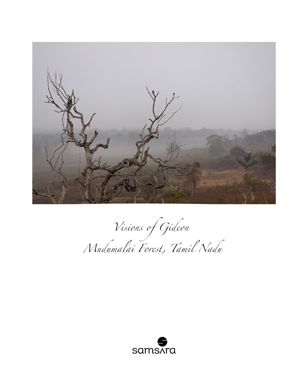 Visions of Gideon · Limited Edition Fine Photography