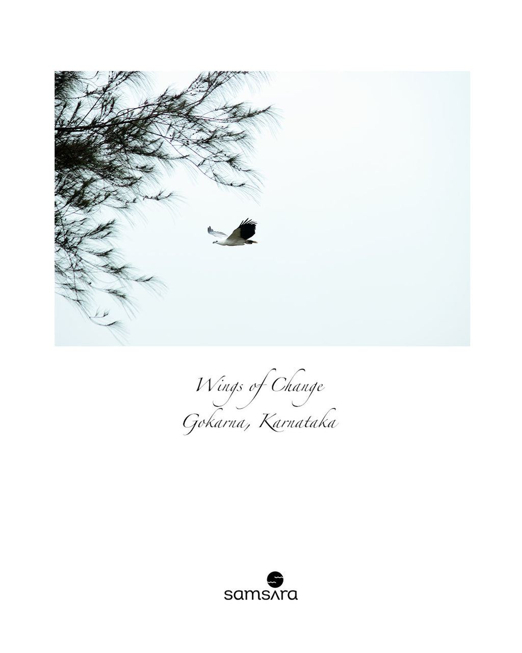 Wings of Change · Limited Edition Fine Photography
