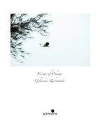 Wings of Change · Limited Edition Fine Photography