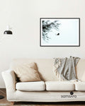 Black white photography print of sea eagle in flight over trees - wildlife art print by Samsara