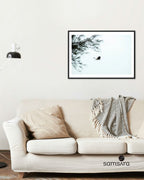 Black white photography print of sea eagle in flight over trees - wildlife art print by Samsara
